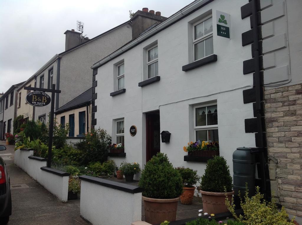 Drummin House Westport Luaran gambar